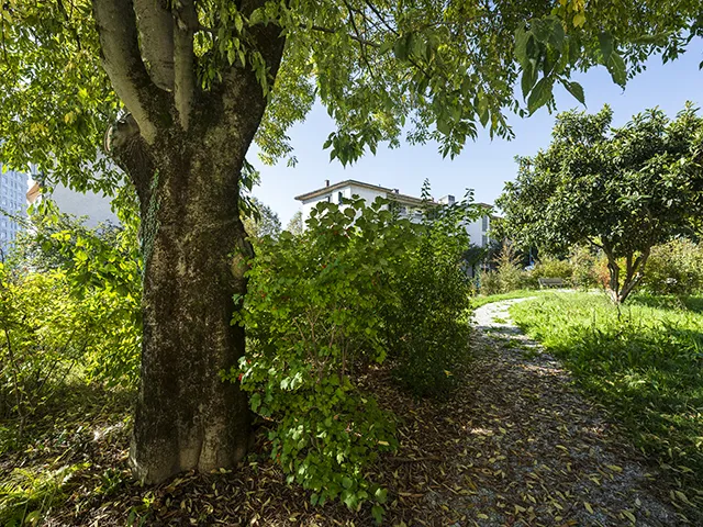 © Marino Trotta – Ville de Lausanne