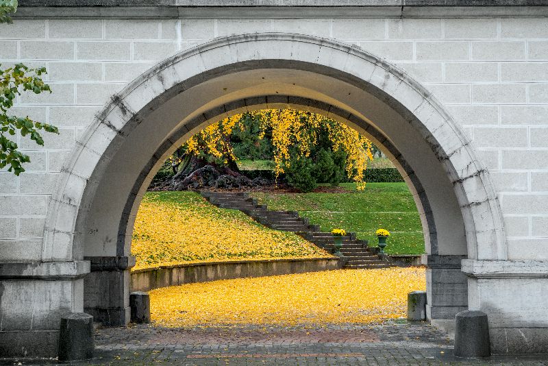 © Marino Trotta – Ville de Lausanne