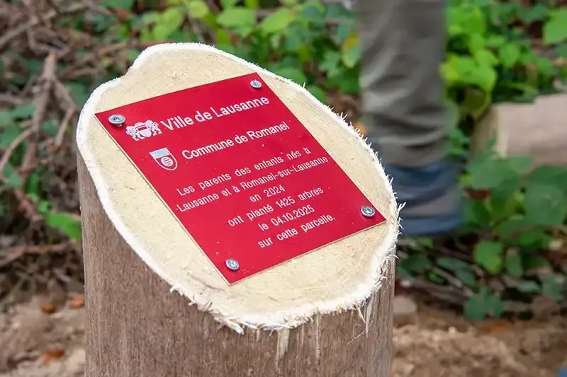 profil du sol pour les enfants