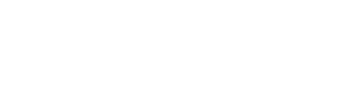 Vidy