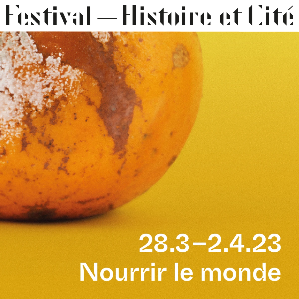 festival Histoire et Cit&eacute;