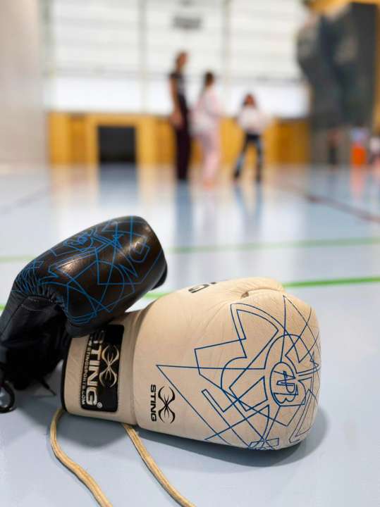 Ville de Lausanne - Yann Rod