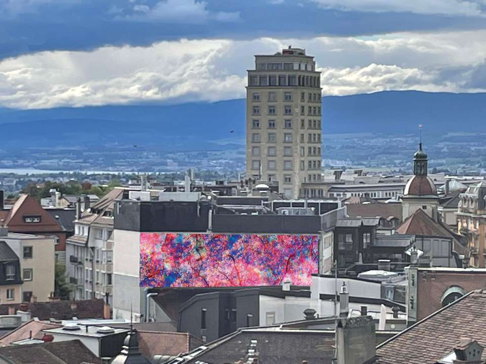 Maya Rochat, How trees from a forest, from the series FOREST MIND, 26