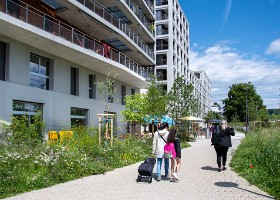 ambiance_plainesduloup_printemps-17 Ambiance dans le quartier des Plaines-du-Loup, printemps 2024.