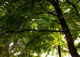 cours_francais_bli2024-21 Cours de français gratuits proposés chaque année par le BLI