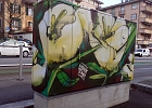 Fleurs: avenue d’Echallens – Sybz & Meyk  © COFOP