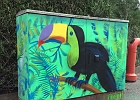 Le toucan: Avenue du Temple  © COFOP