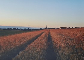 1. Poliez-Pittet Poliez-Pittet La skyline de mon enfance. C’est dans ce village que j’ai grandi, et que j’ai passé l’essentiel de mes seize premières années (et quelques-unes...