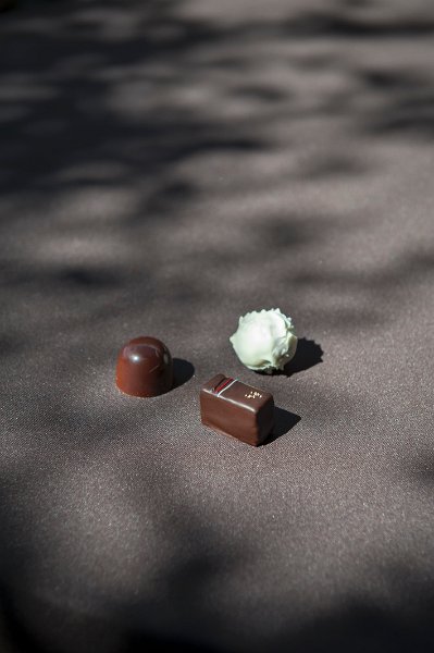 concours-chocolat-lausanne-mano-VDL-9 1 LaChocolatiere detail
