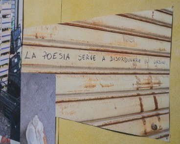 Nessi 16
