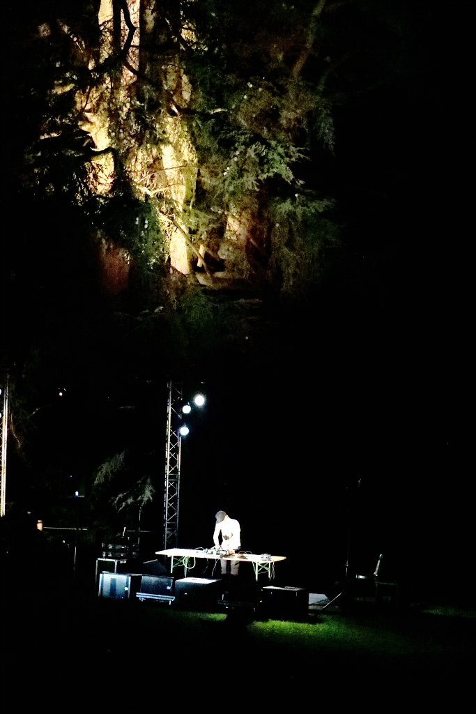 Les Digitales de Lausanne