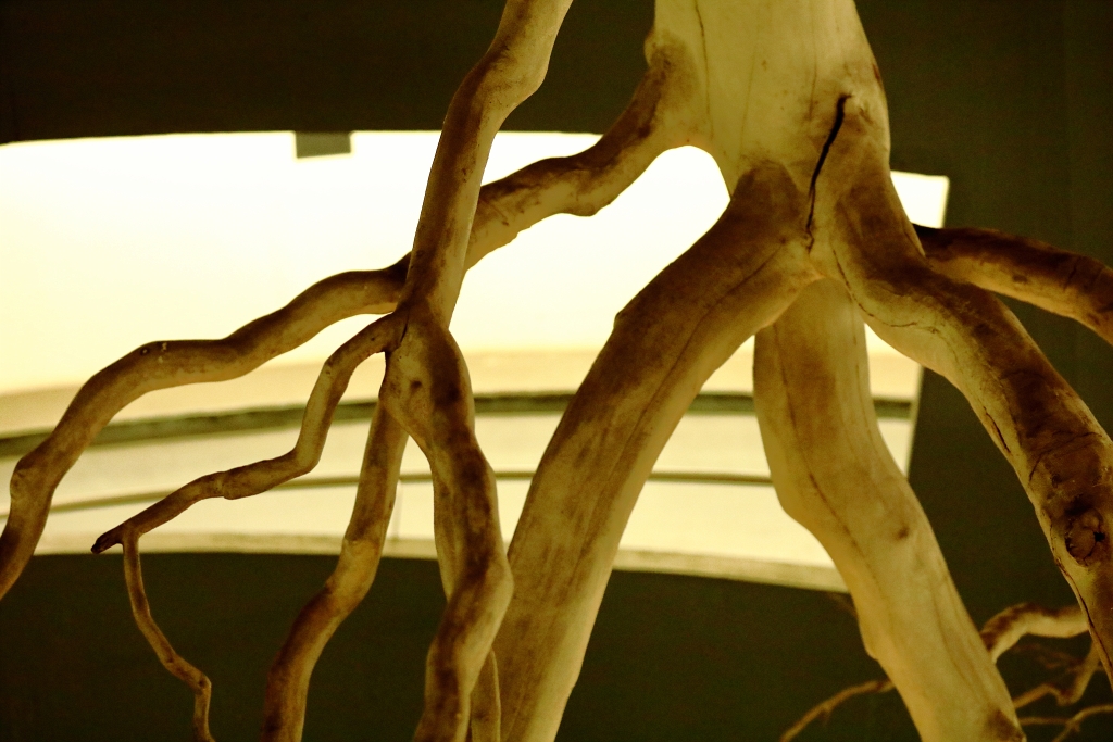 Art en ville, balade avec Mathieu Jaccard