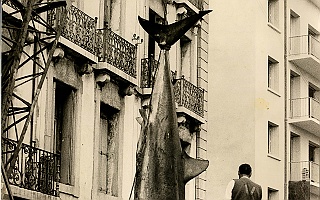 5_13_octobre_1963_le_squale_est_grute_sur_un_poids_lourd_avant_d_etre_mis_dans_un_camion_frigorifique_a_destination_de_lausanne Octobre 1963, le squale est gruté sur un poids lourd avant d'être mis dans un camion frigorifique à destination de Lausanne.