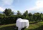 Vignes du Beau Virage