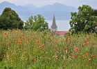 De mars à septembre