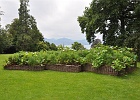 Potagers urbains