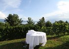 Vignes du Beau Virage