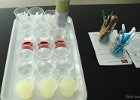 Laboratoire l'Eprouvette