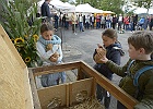 metaphores-05.JPG