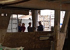 valter-spinazza-025.JPG