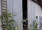 valter-spinazza-032.JPG
