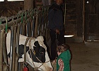 valter-spinazza-034.JPG
