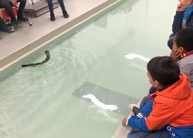 IMG_2721