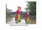 Alecyo - copie Alecyo