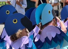 IMG_5239