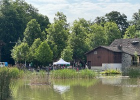 IMG_4381