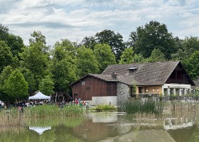 IMG_4429