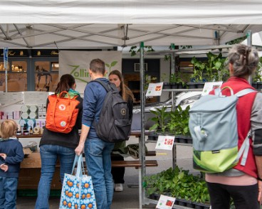 fete_nature_ville_grancy-11 Fête de la Nature sur le Boulevard de Grancy. Vente de Plantons, ateliers hôtels à insectes, associations et plantages participatifs dans le quartier