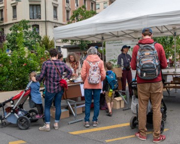 fete_nature_ville_grancy-2 Fête de la Nature sur le Boulevard de Grancy. Vente de Plantons, ateliers hôtels à insectes, associations et plantages participatifs dans le quartier