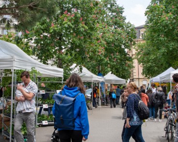 fete_nature_ville_grancy-3 Fête de la Nature sur le Boulevard de Grancy. Vente de Plantons, ateliers hôtels à insectes, associations et plantages participatifs dans le quartier