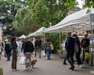 fete_nature_ville_grancy-4 Fête de la Nature sur le Boulevard de Grancy. Vente de Plantons, ateliers hôtels à insectes, associations et plantages participatifs dans le quartier