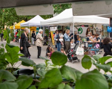 fete_nature_ville_grancy-7 Fête de la Nature sur le Boulevard de Grancy. Vente de Plantons, ateliers hôtels à insectes, associations et plantages participatifs dans le quartier