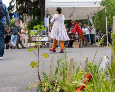 fete_nature_ville_grancy-8 Fête de la Nature sur le Boulevard de Grancy. Vente de Plantons, ateliers hôtels à insectes, associations et plantages participatifs dans le quartier