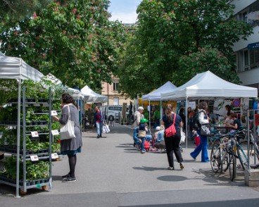 fete_nature_ville_grancy-9 Fête de la Nature sur le Boulevard de Grancy. Vente de Plantons, ateliers hôtels à insectes, associations et plantages participatifs dans le quartier