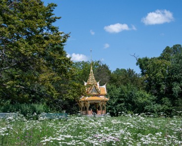 lausannejardins24-1 LausanneJardins 2024. Ici: D04 Affleurement À l’extrémité sud du parc du Denantou, se déploie une imposante vague de fleurs qui inonde le pré et évoque l’eau du...