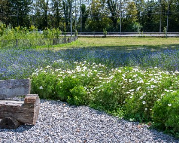 lausannejardins24_spadom-14 LausanneJardins 2024, projets mis en œuvre par le Service des parcs et domaines (SPADOM). Ici: B07 Flon Bleu Au milieu coule une rivière… Sous le rond-point de...