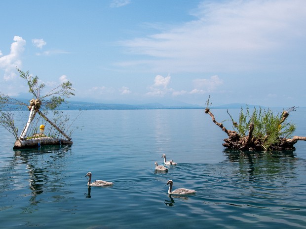 Lausanne Jardins 2024 Du 15 juin au 5 octobre 2024, la manifestation Lausanne Jardins 24 s'est installée sur les rives du Léman autour du...