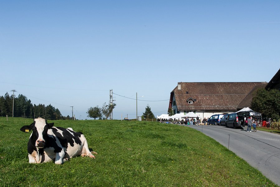 saugealles-100e-mano-vdl-001