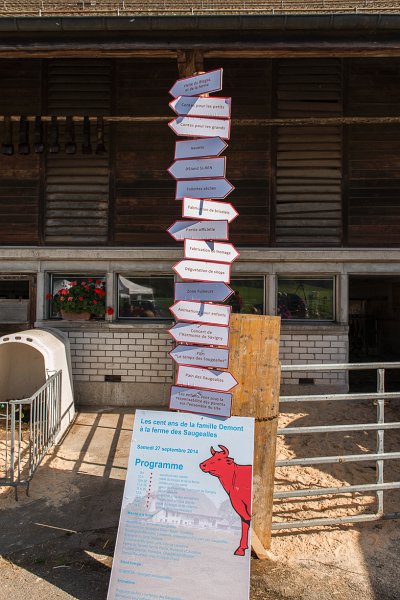 saugealles-100e-mano-vdl-002