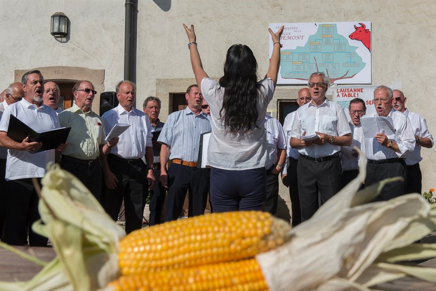 saugealles-100e-mano-vdl-003