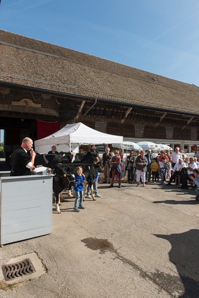 saugealles-100e-mano-vdl-004