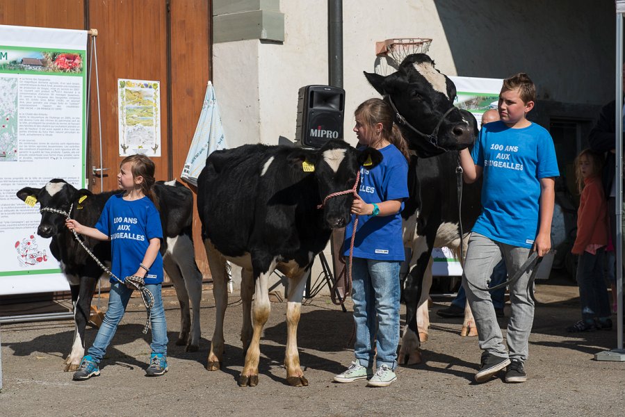 saugealles-100e-mano-vdl-005