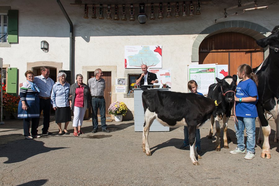 saugealles-100e-mano-vdl-006