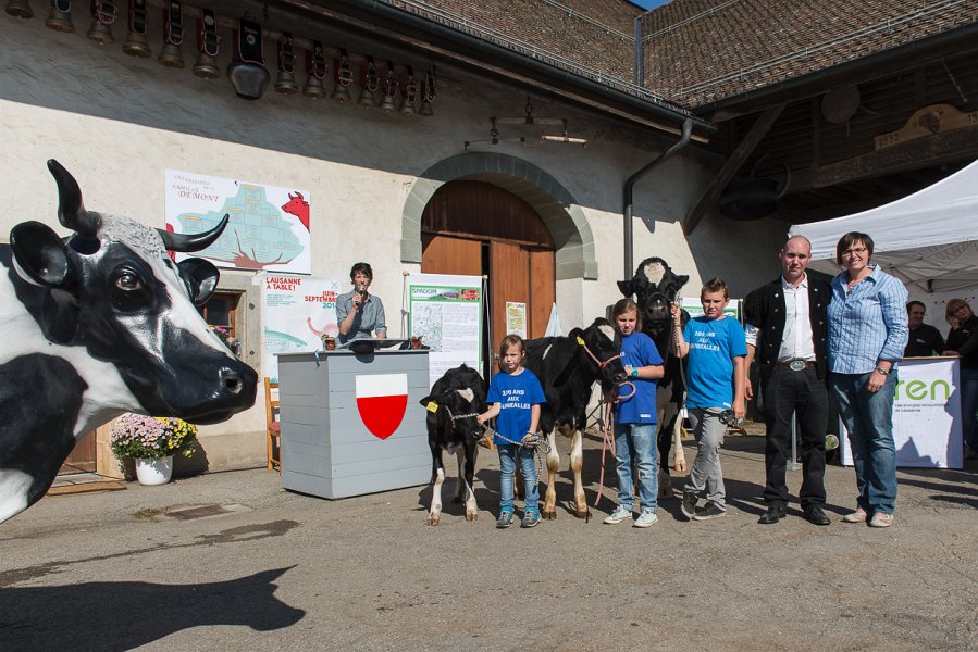 saugealles-100e-mano-vdl-007