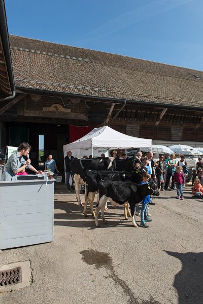 saugealles-100e-mano-vdl-008