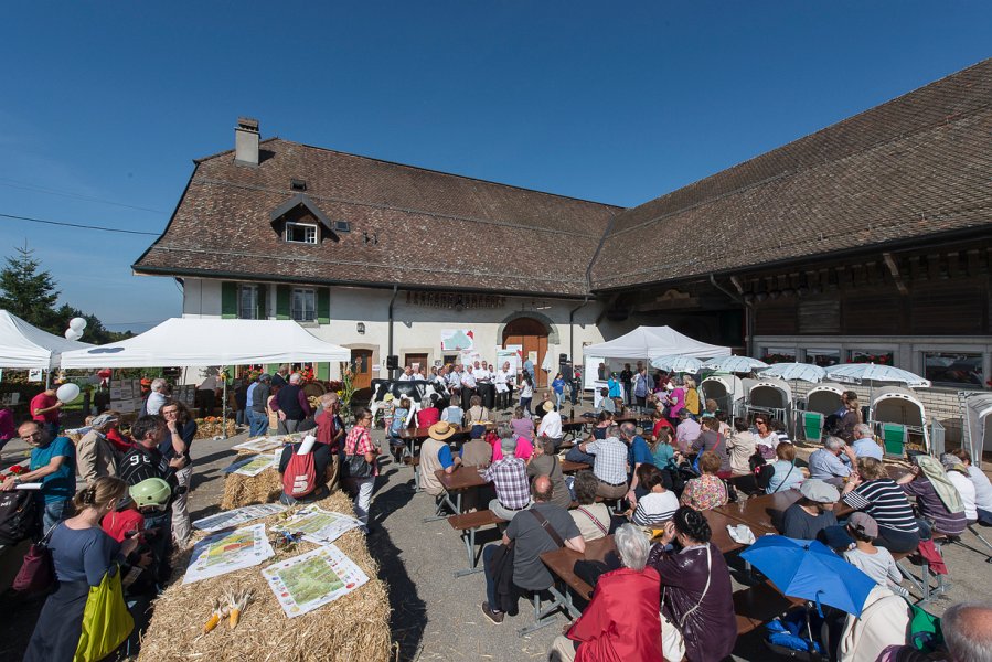 saugealles-100e-mano-vdl-010